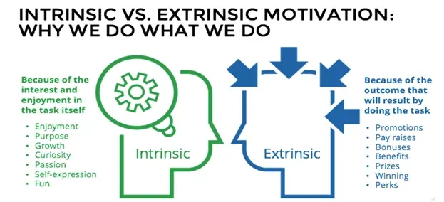 A diagram showing intrinsic and extrinsic motivation